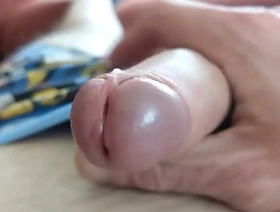 Penis